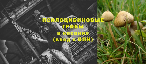 меф Кинешма