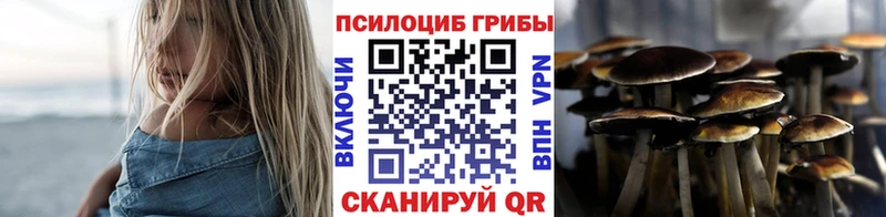 МЕГА как зайти  Короча  Псилоцибиновые грибы прущие грибы  где найти  